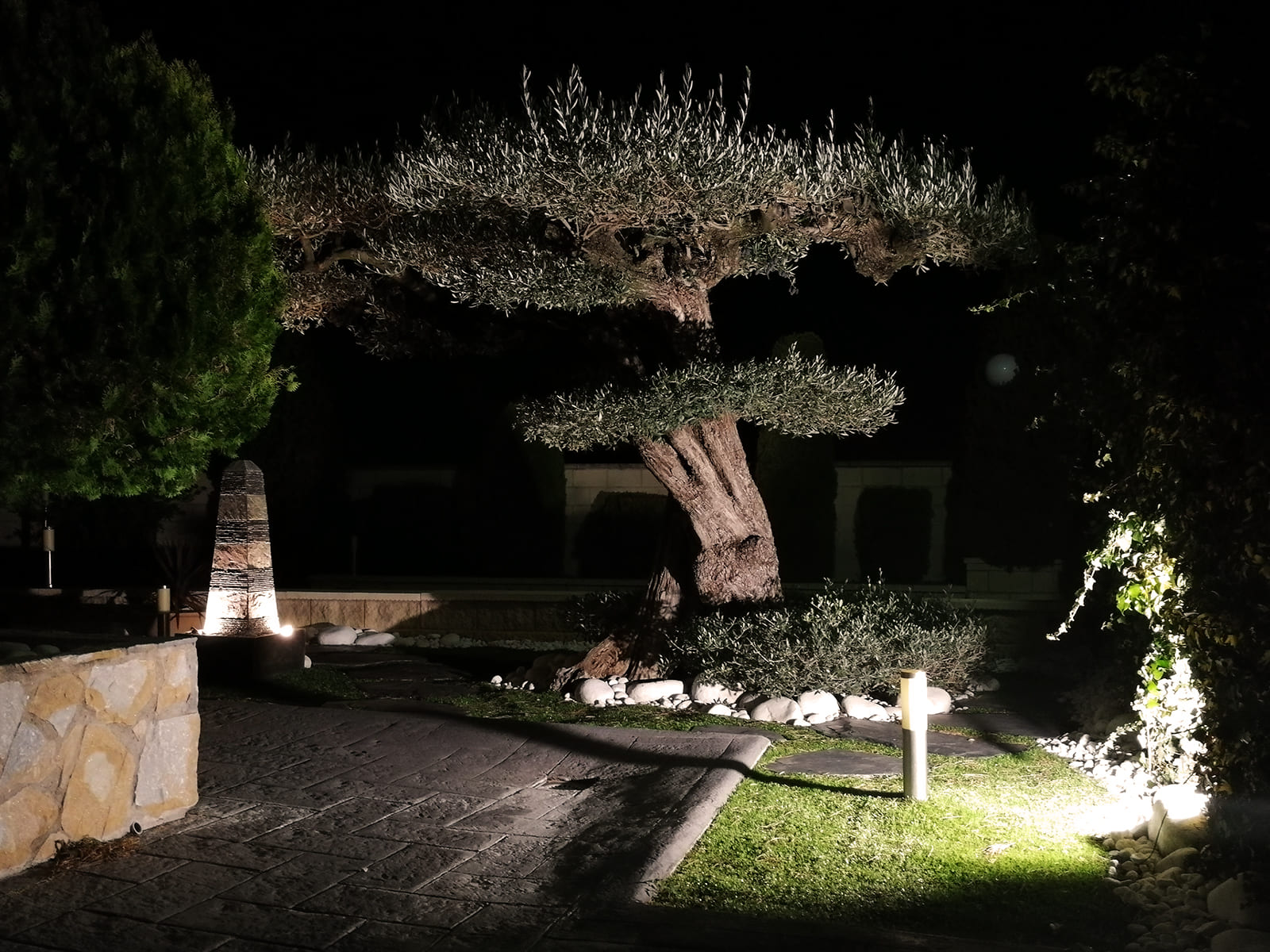 diseño-jardines-espacio-olivo-noche-MM-06_HIDROJARDIN-Bañeres